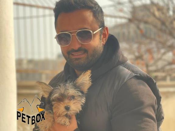 فروش توله های یورکشایر 