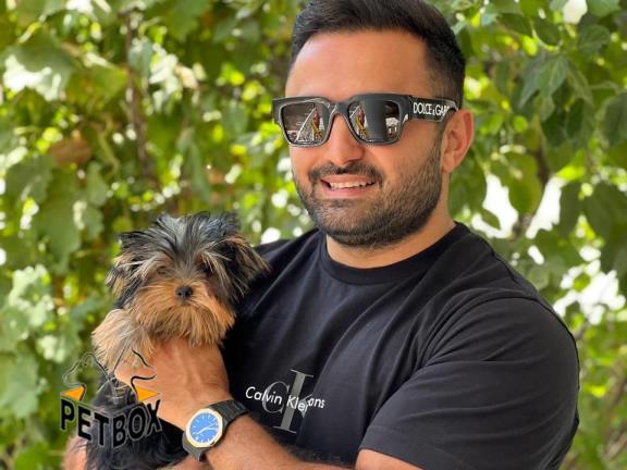 فروش توله های یورکشایر کد 10