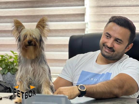 تخفیف ویژه ی توله های یورکشایر