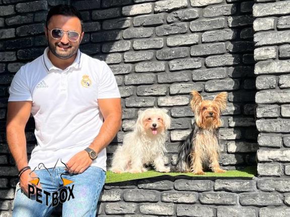 فروش نژاد های اپارتمانی با تخفیف ویزه