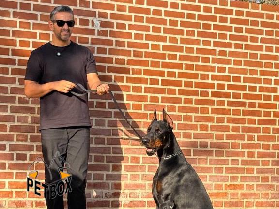 فروش توله دوبرمن